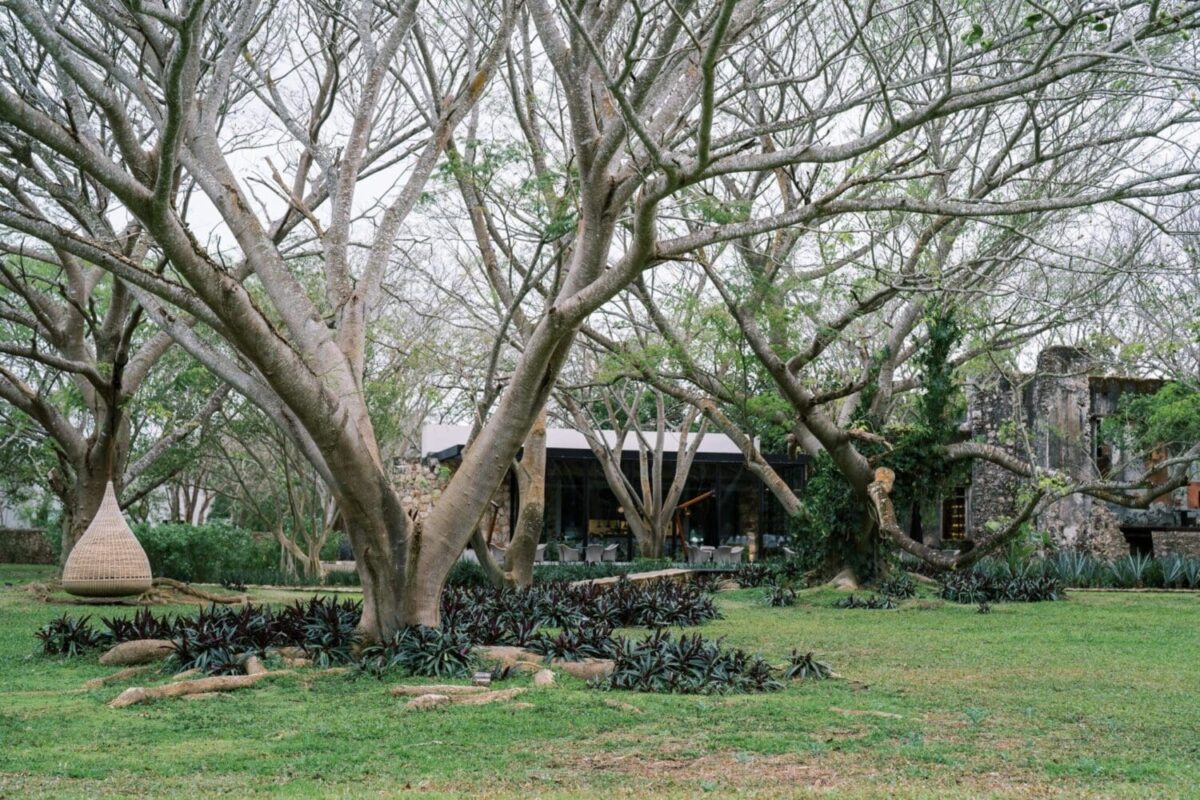 Destination wedding Mexico, Chablé Yucatan
