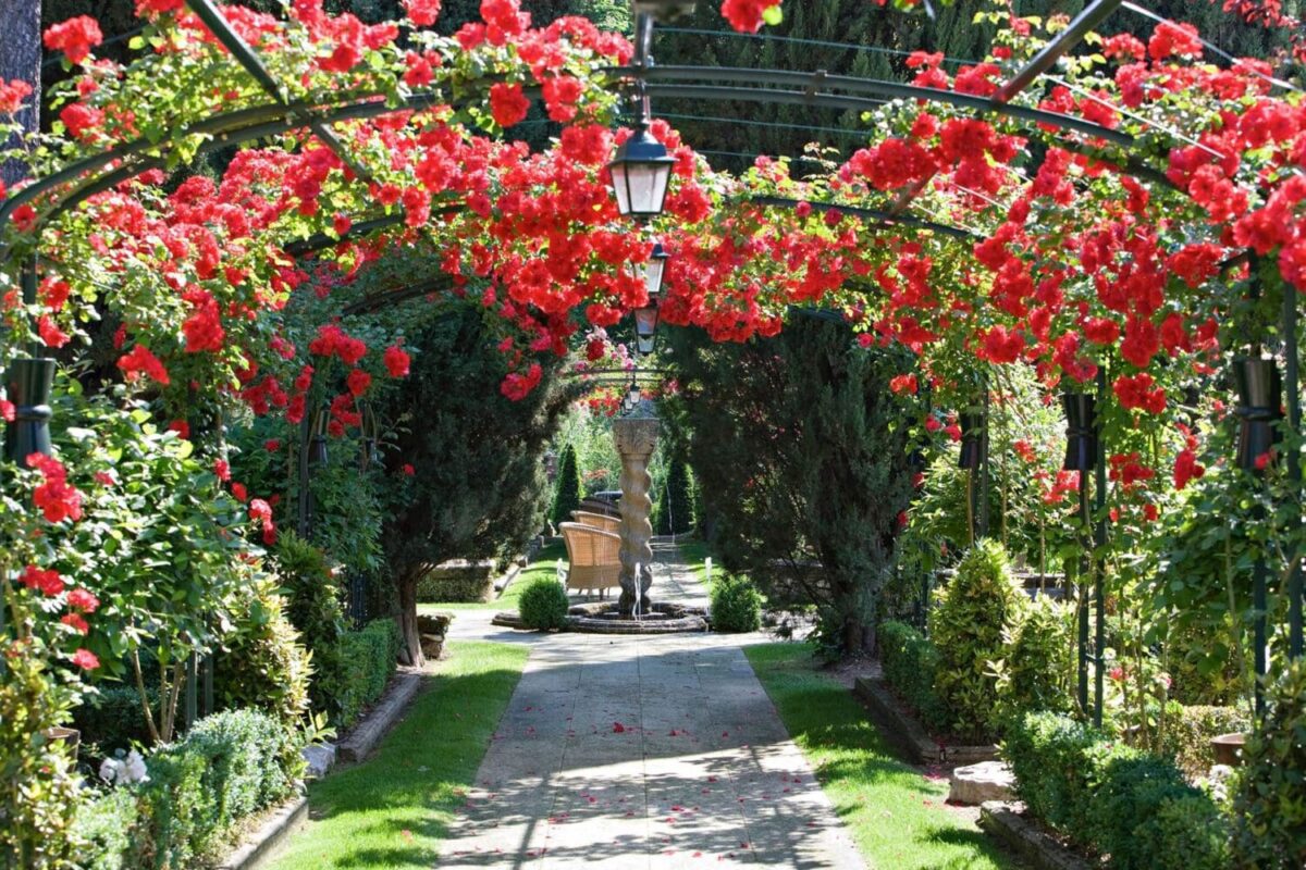 Luxury wedding, Hotel Le Pigonnet