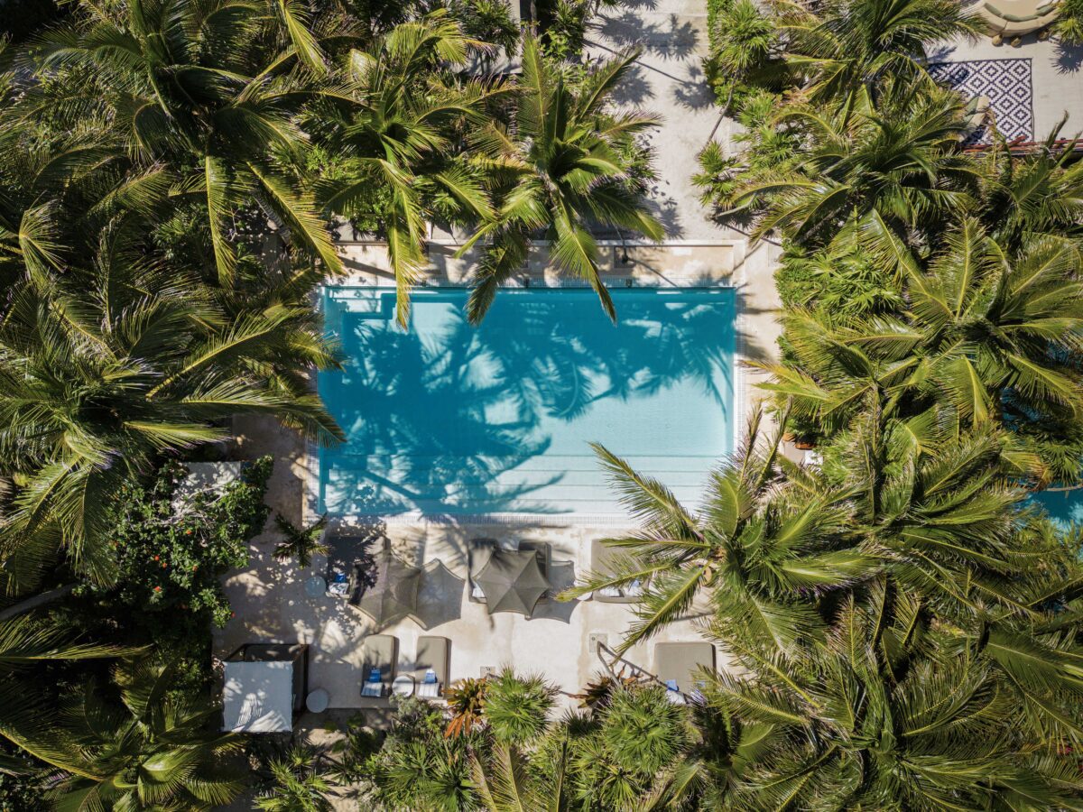 Aerial view of pool at Jashita Hotel Tulum, a luxurious Tulum wedding venue surrounded by palm trees.