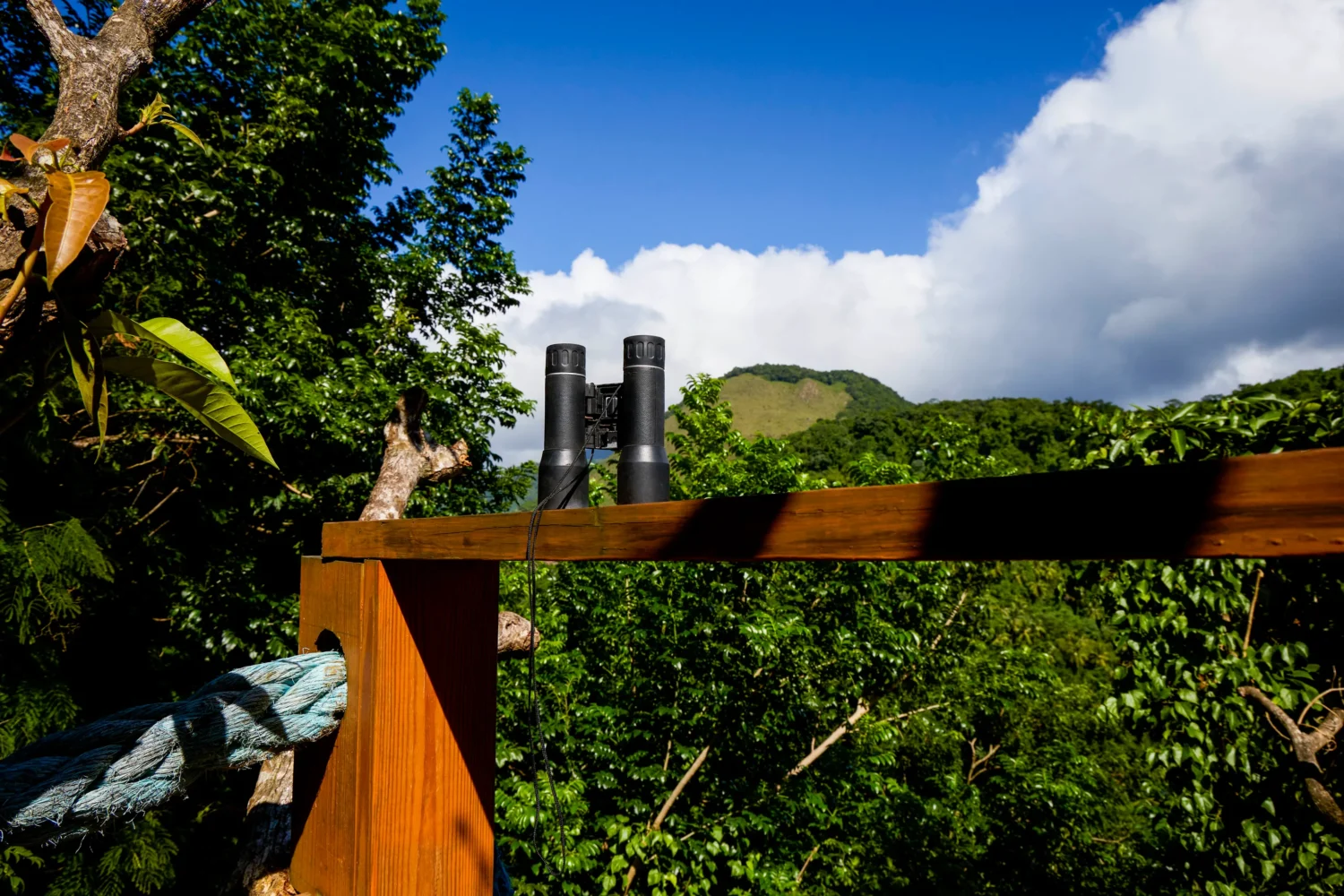 Binoculars on a wooden railing overlooking a lush green landscape, perfect for an island wedding or honeymoon at Ladera Resort.
