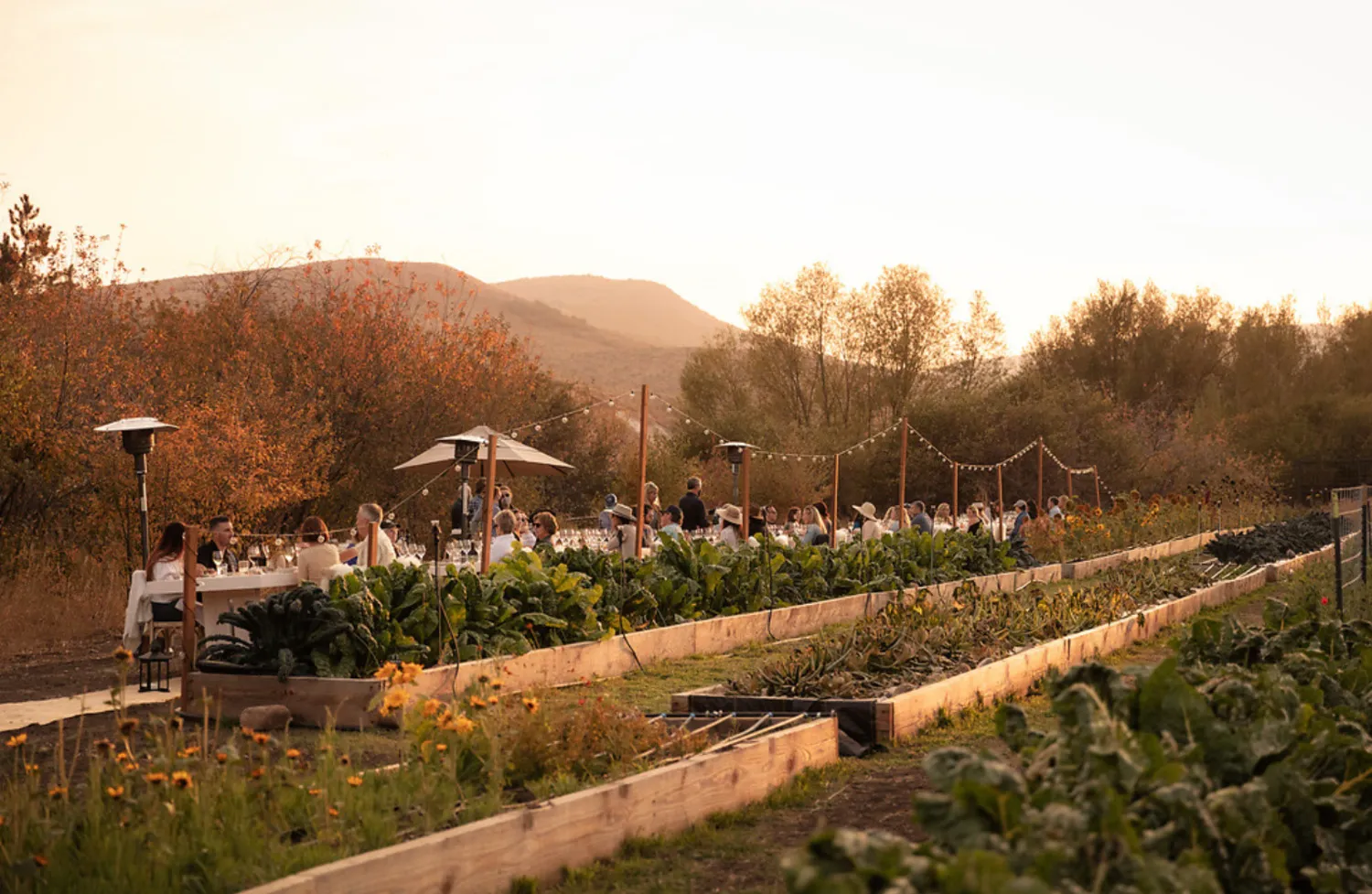 Outdoor wedding reception at The Lodge at Blue Sky, Auberge Resorts Collection in Utah. Guests dine at long tables amidst a lush garden.