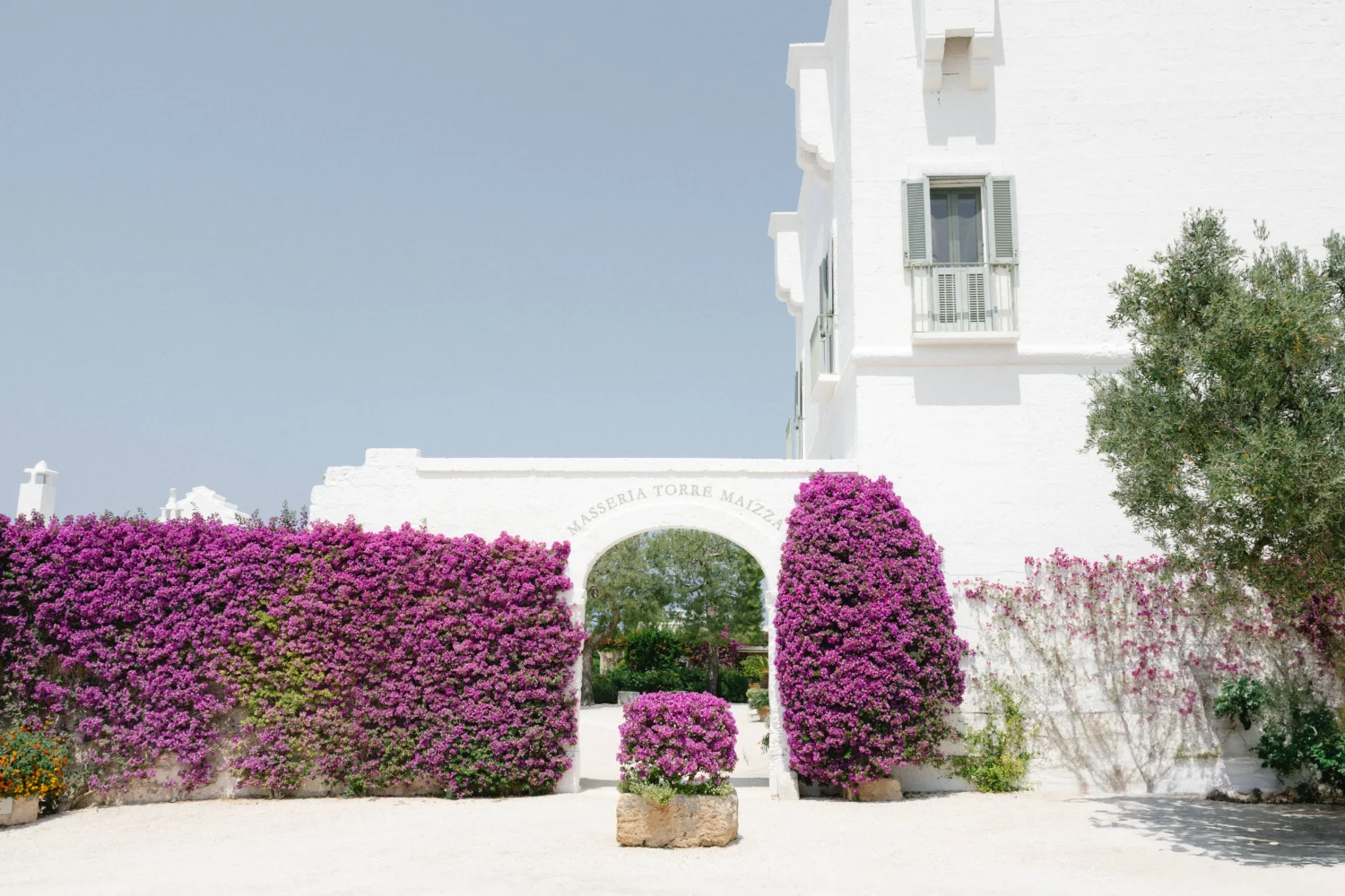 Masseria Torre Maizza entrance archway, adorned with vibrant purple bougainvillea. Puglia wedding venue.