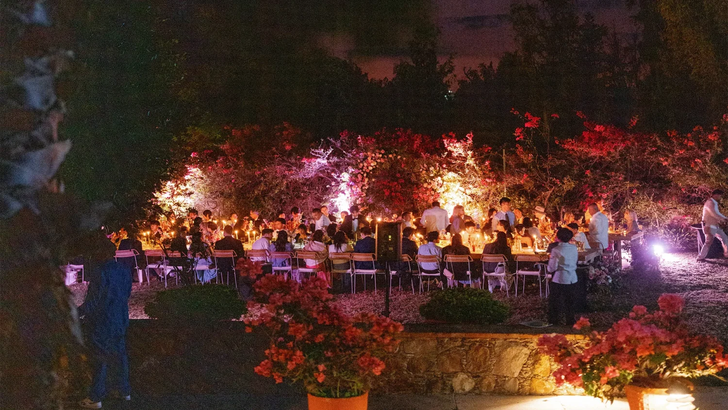 Romantic outdoor wedding reception at Casa de Sierra Nevada, with guests seated at long tables under illuminated bougainvillea.