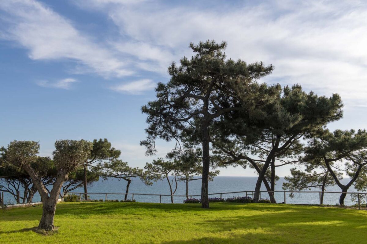 Destination Wedding Portugal, W Algarve