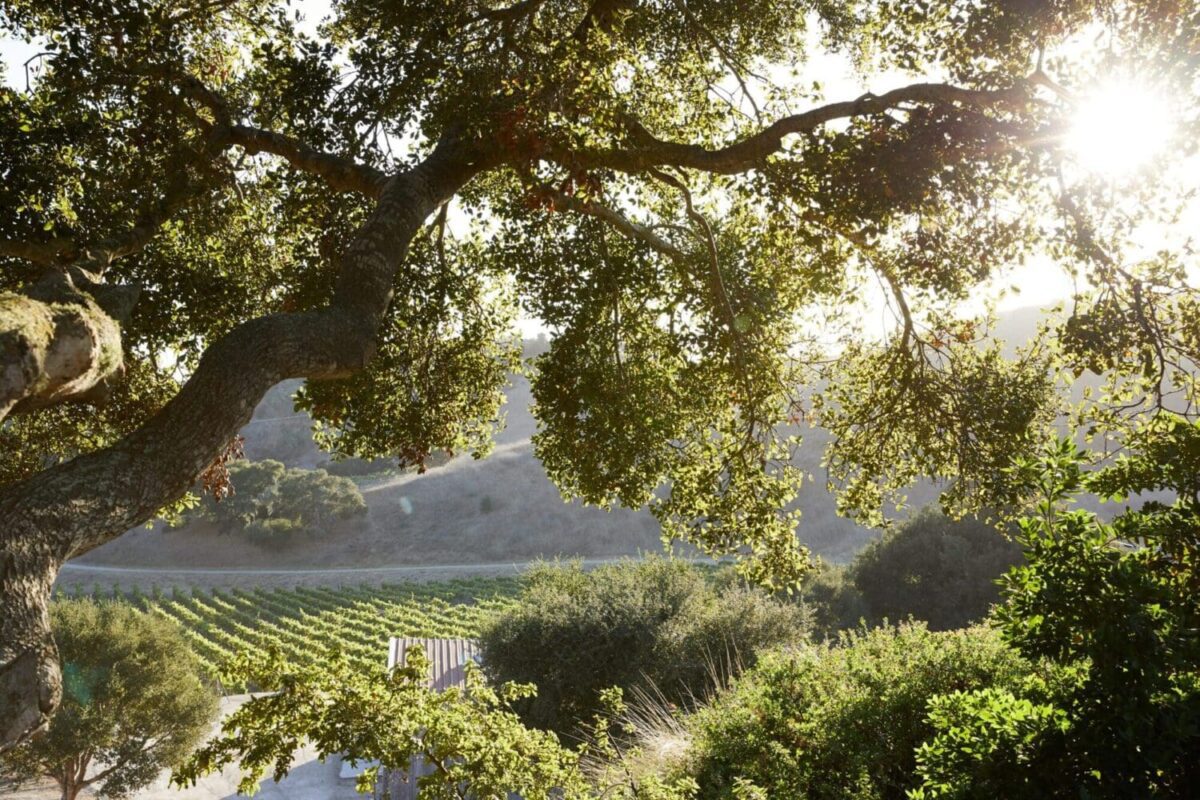 Destination Weddings, The Inn at Mattei's