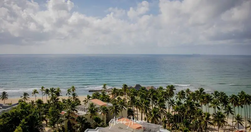 Oceanfront Dominican Republic resort with palm trees, ideal for a wedding at Boutique Hotel Casa Hemingway.