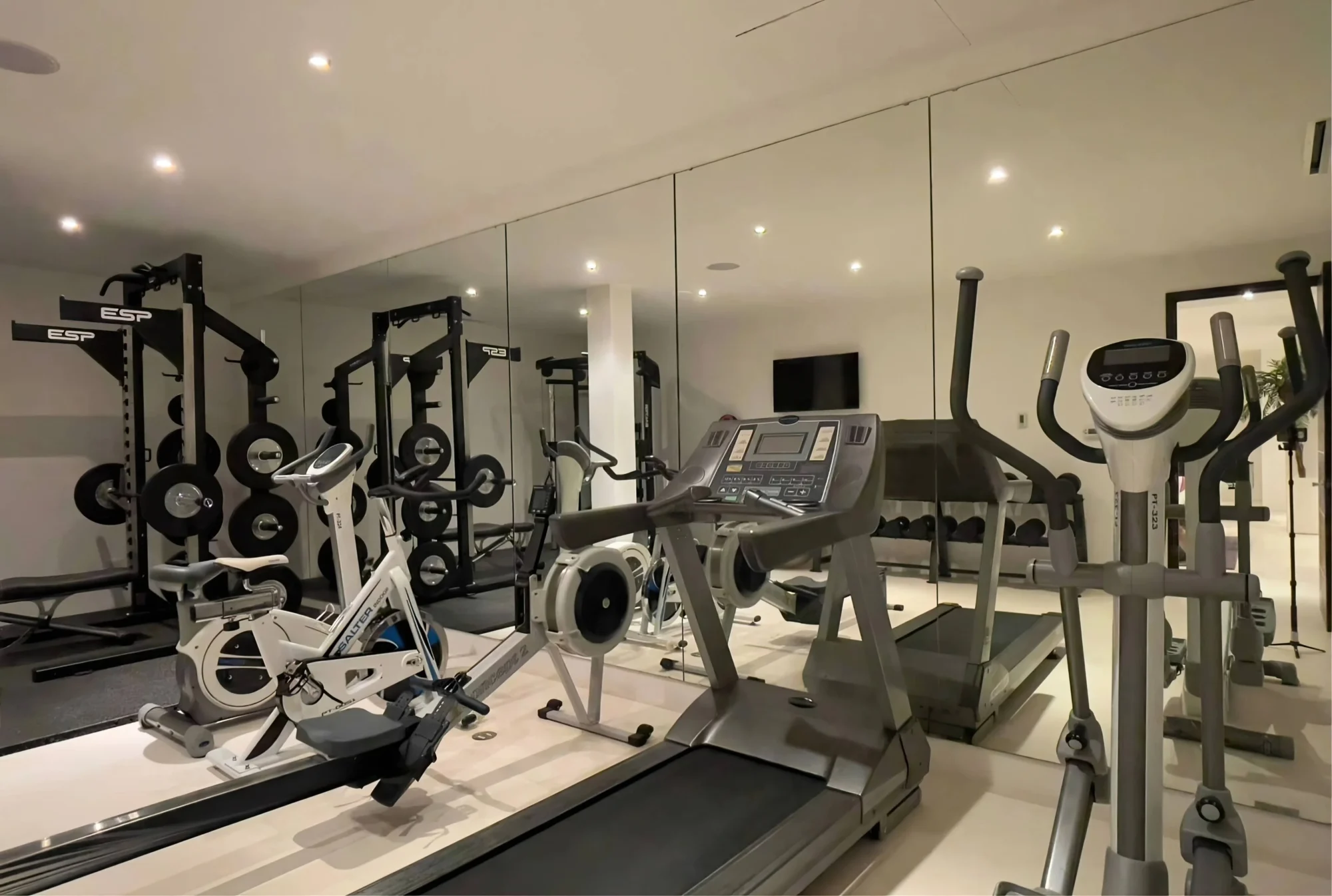 Luxury home gym with exercise equipment including treadmill, elliptical, and stationary bikes.