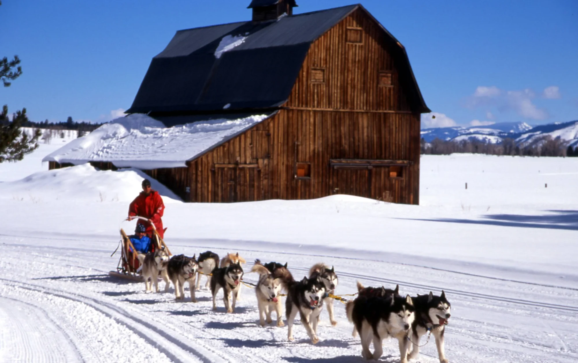 Bentwood Inn, Jackson Hole Wyoming #