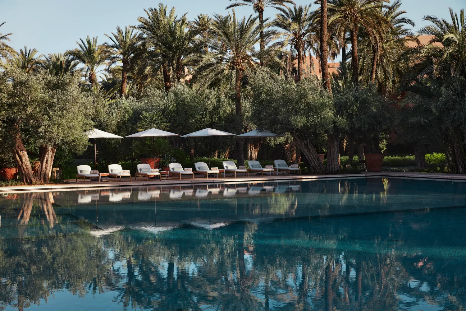 Relaxing poolside at Royal Mansour Marrakech, featuring lounge chairs and umbrellas under palm trees.